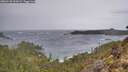 ./images/calvert/foggy-cove/20260128/foggy-cove20260128_102002M.jpg