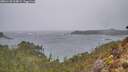 ./images/calvert/foggy-cove/20260128/foggy-cove20260128_104001M.jpg