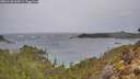 ./images/calvert/foggy-cove/20260128/foggy-cove20260128_105002M.jpg
