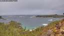 ./images/calvert/foggy-cove/20260128/foggy-cove20260128_115001M.jpg