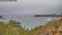 ./images/calvert/foggy-cove/20260128/foggy-cove20260128_120002M.jpg