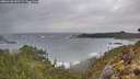 ./images/calvert/foggy-cove/20260128/foggy-cove20260128_155501M.jpg
