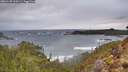 ./images/calvert/foggy-cove/20260128/foggy-cove20260128_160501M.jpg