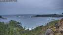 ./images/calvert/foggy-cove/20260128/foggy-cove20260128_171501M.jpg