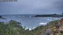 ./images/calvert/foggy-cove/20260128/foggy-cove20260128_172001M.jpg