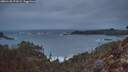./images/calvert/foggy-cove/20260128/foggy-cove20260128_173502M.jpg
