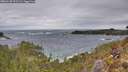 ./images/calvert/foggy-cove/20260129/foggy-cove20260129_111502M.jpg