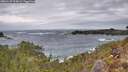 ./images/calvert/foggy-cove/20260129/foggy-cove20260129_113001M.jpg