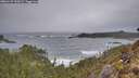 ./images/calvert/foggy-cove/20260129/foggy-cove20260129_152001M.jpg