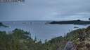 ./images/calvert/foggy-cove/20260131/foggy-cove20260131_081501M.jpg