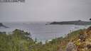 ./images/calvert/foggy-cove/20260131/foggy-cove20260131_084501M.jpg