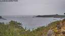./images/calvert/foggy-cove/20260131/foggy-cove20260131_090001M.jpg