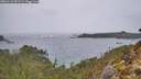 ./images/calvert/foggy-cove/20260131/foggy-cove20260131_091501M.jpg