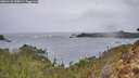 ./images/calvert/foggy-cove/20260131/foggy-cove20260131_095002M.jpg