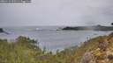 ./images/calvert/foggy-cove/20260131/foggy-cove20260131_095501M.jpg