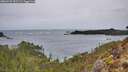 ./images/calvert/foggy-cove/20260131/foggy-cove20260131_101501M.jpg