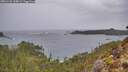 ./images/calvert/foggy-cove/20260131/foggy-cove20260131_105001M.jpg
