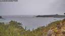 ./images/calvert/foggy-cove/20260131/foggy-cove20260131_105501M.jpg