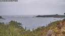 ./images/calvert/foggy-cove/20260131/foggy-cove20260131_112001M.jpg