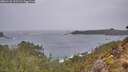 ./images/calvert/foggy-cove/20260131/foggy-cove20260131_112501M.jpg