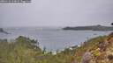 ./images/calvert/foggy-cove/20260131/foggy-cove20260131_113002M.jpg