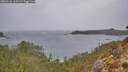 ./images/calvert/foggy-cove/20260131/foggy-cove20260131_113501M.jpg