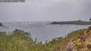 ./images/calvert/foggy-cove/20260131/foggy-cove20260131_114002M.jpg