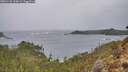 ./images/calvert/foggy-cove/20260131/foggy-cove20260131_114501M.jpg