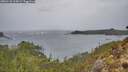 ./images/calvert/foggy-cove/20260131/foggy-cove20260131_115002M.jpg