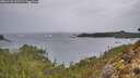 ./images/calvert/foggy-cove/20260131/foggy-cove20260131_115502M.jpg