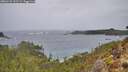 ./images/calvert/foggy-cove/20260131/foggy-cove20260131_122502M.jpg