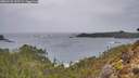 ./images/calvert/foggy-cove/20260131/foggy-cove20260131_133501M.jpg