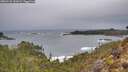 ./images/calvert/foggy-cove/20260131/foggy-cove20260131_162001M.jpg