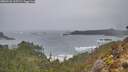 ./images/calvert/foggy-cove/20260131/foggy-cove20260131_165501M.jpg