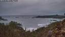 ./images/calvert/foggy-cove/20260131/foggy-cove20260131_174001M.jpg