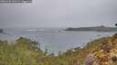 ./images/calvert/foggy-cove/20260201/foggy-cove20260201_132501M.jpg