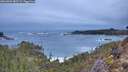 ./images/calvert/foggy-cove/20260202/foggy-cove20260202_082502M.jpg