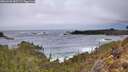./images/calvert/foggy-cove/20260202/foggy-cove20260202_085501M.jpg