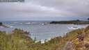 ./images/calvert/foggy-cove/20260202/foggy-cove20260202_091501M.jpg