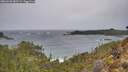 ./images/calvert/foggy-cove/20260203/foggy-cove20260203_085502M.jpg