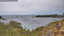 ./images/calvert/foggy-cove/20260203/foggy-cove20260203_092501M.jpg