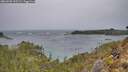 ./images/calvert/foggy-cove/20260203/foggy-cove20260203_105501M.jpg