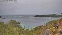 ./images/calvert/foggy-cove/20260203/foggy-cove20260203_111002M.jpg