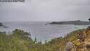 ./images/calvert/foggy-cove/20260203/foggy-cove20260203_120001M.jpg