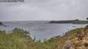 ./images/calvert/foggy-cove/20260203/foggy-cove20260203_121501M.jpg
