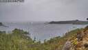 ./images/calvert/foggy-cove/20260203/foggy-cove20260203_123001M.jpg
