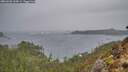 ./images/calvert/foggy-cove/20260203/foggy-cove20260203_134501M.jpg