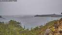 ./images/calvert/foggy-cove/20260203/foggy-cove20260203_135002M.jpg