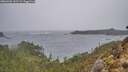 ./images/calvert/foggy-cove/20260203/foggy-cove20260203_142501M.jpg