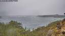 ./images/calvert/foggy-cove/20260203/foggy-cove20260203_150501M.jpg